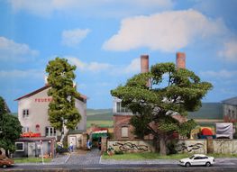 HEKI Kittler Platanen & Co