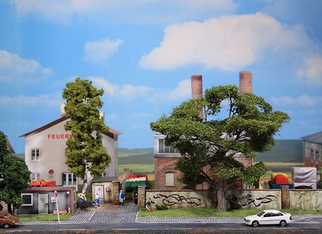 HEKI Kittler - Platanen & Co
